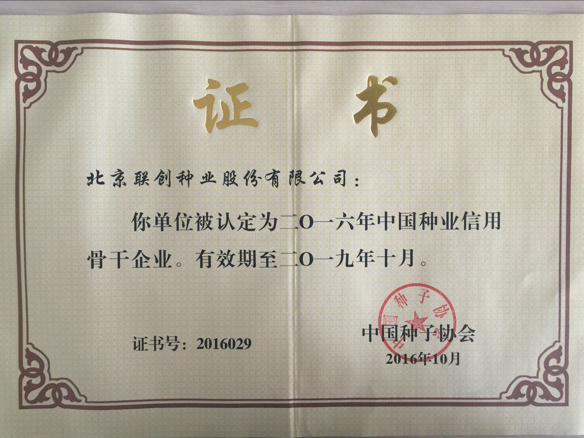 首页| 游艇会yth206最新官方网站