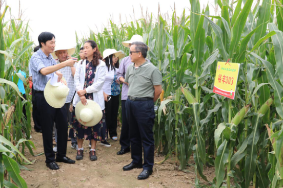 首页| 游艇会yth206最新官方网站