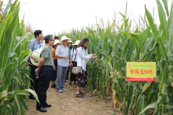 首页| 游艇会yth206最新官方网站