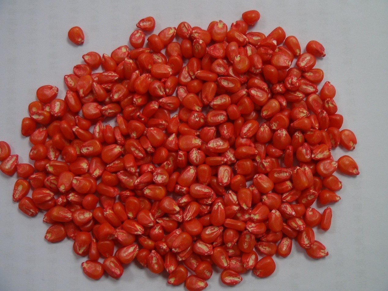 首页| 游艇会yth206最新官方网站