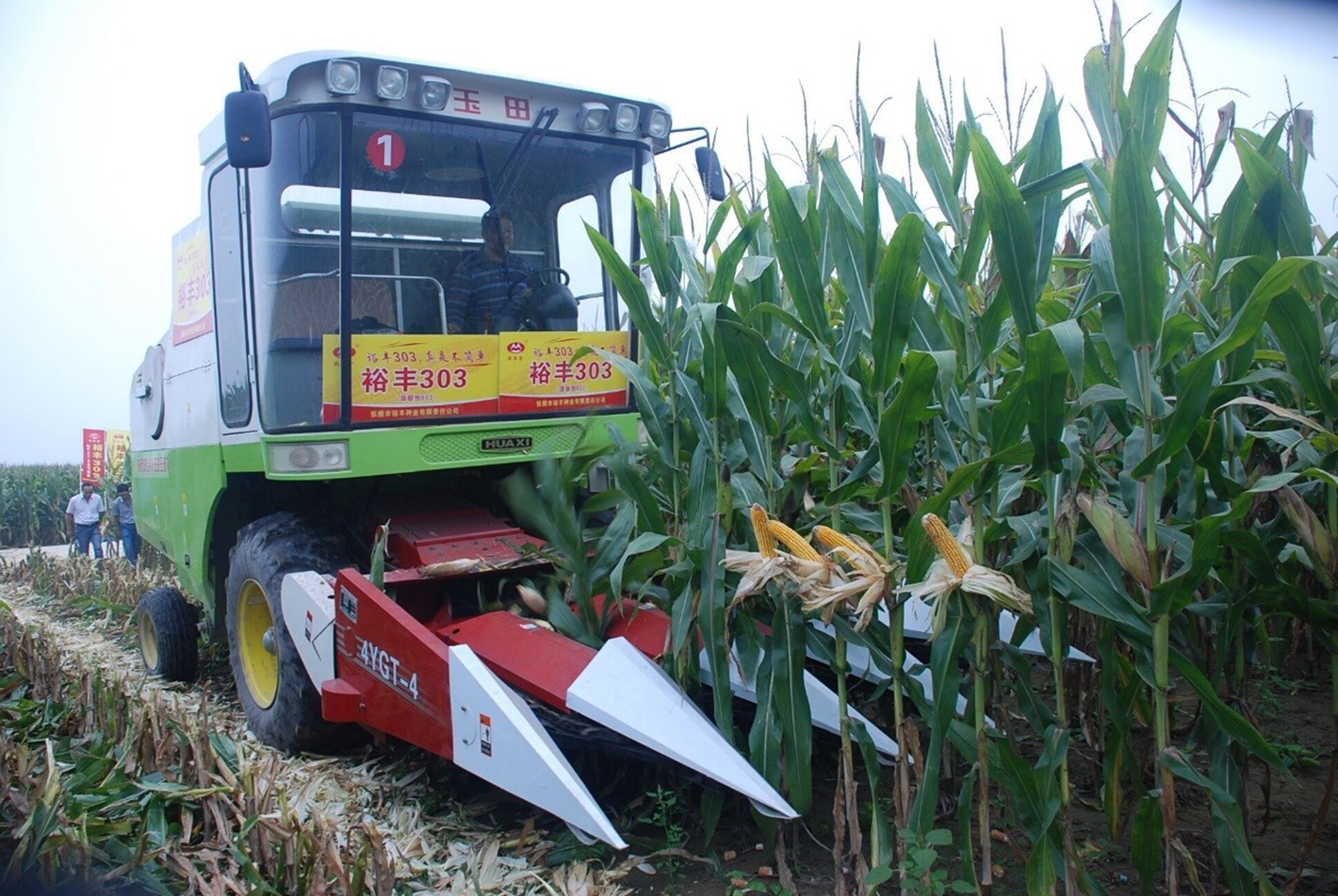 首页| 游艇会yth206最新官方网站