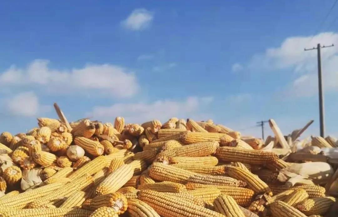 首页| 游艇会yth206最新官方网站