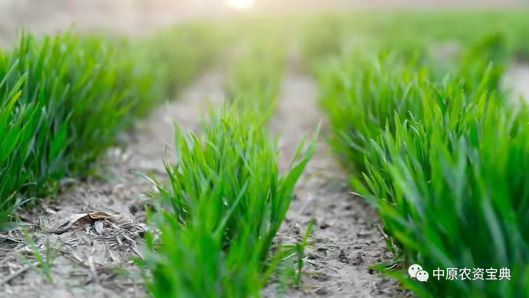 首页| 游艇会yth206最新官方网站