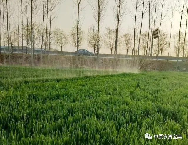 首页| 游艇会yth206最新官方网站