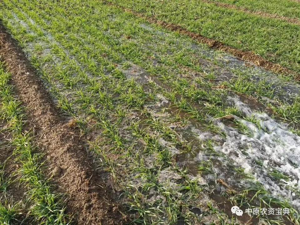 首页| 游艇会yth206最新官方网站