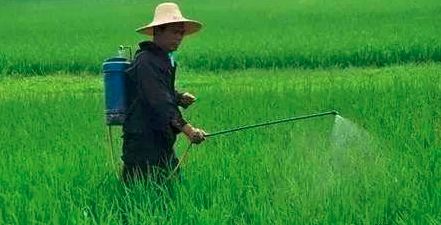 首页| 游艇会yth206最新官方网站