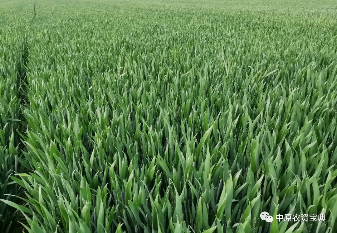 首页| 游艇会yth206最新官方网站