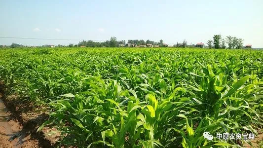 首页| 游艇会yth206最新官方网站