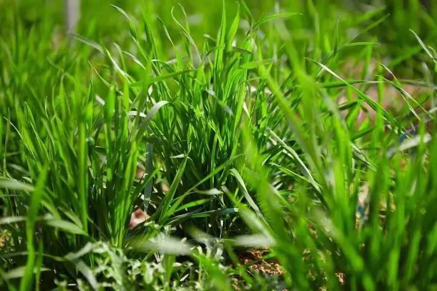 首页| 游艇会yth206最新官方网站