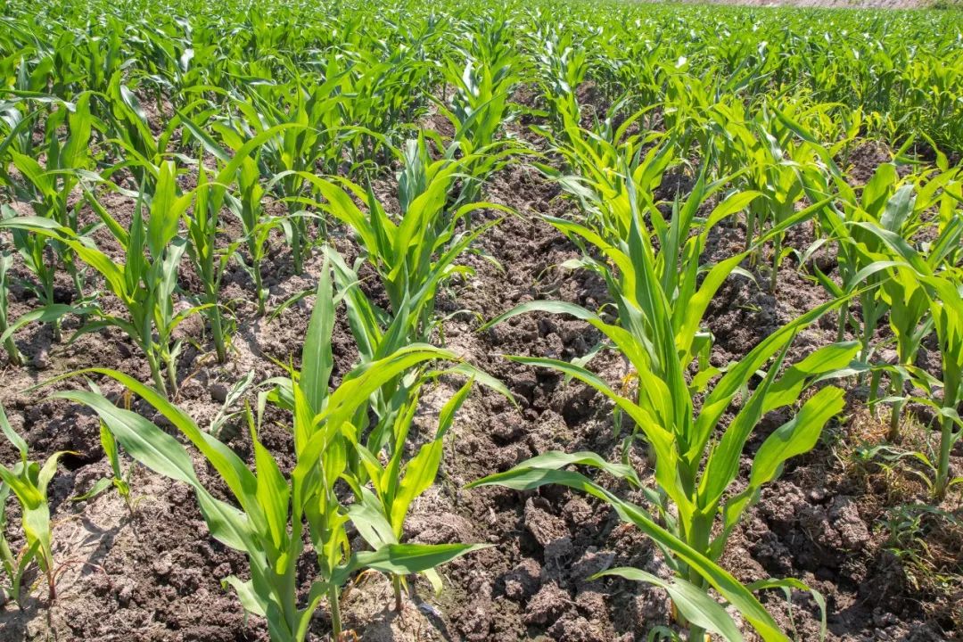 首页| 游艇会yth206最新官方网站