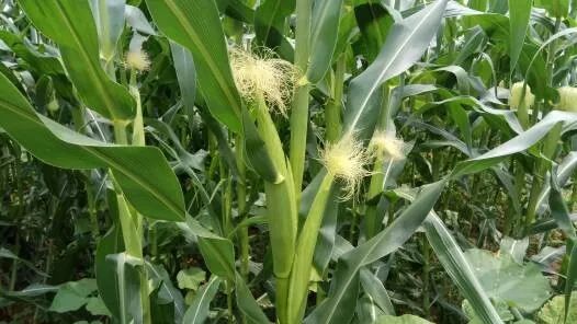 首页| 游艇会yth206最新官方网站