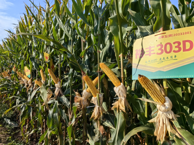 首页| 游艇会yth206最新官方网站