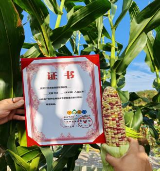 首页| 游艇会yth206最新官方网站