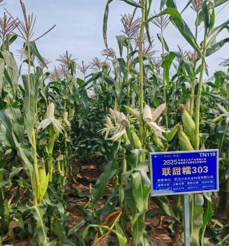 首页| 游艇会yth206最新官方网站