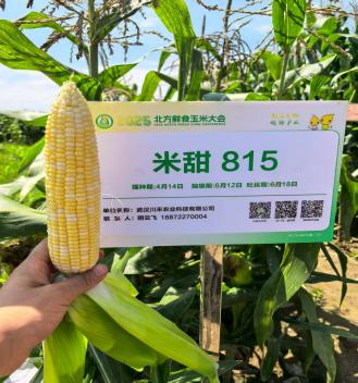 首页| 游艇会yth206最新官方网站