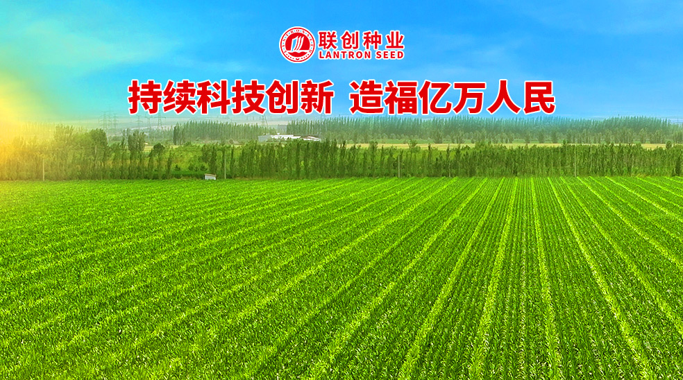 首页| 游艇会yth206最新官方网站