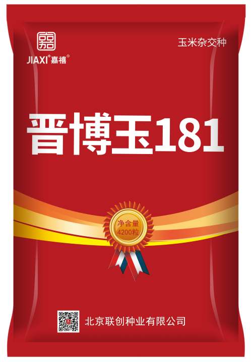 晋博玉181